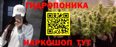 apvp Гагарин