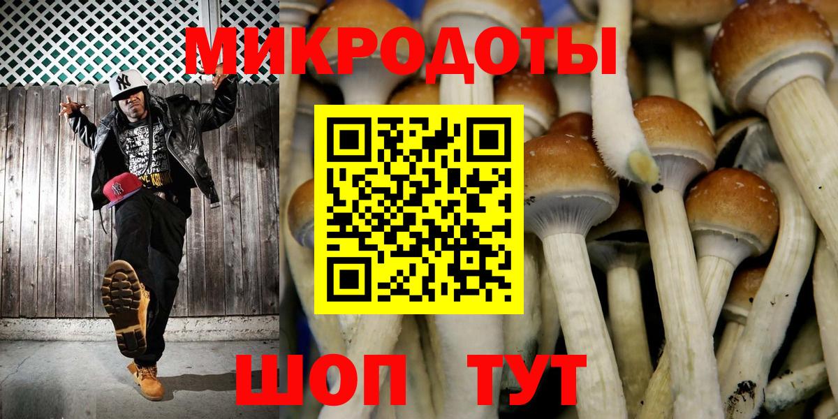 Балашиха  Галлюциногенные грибы Cubensis  Галлюциногенные грибы Psilocybine cubensis  Вход с VPN 