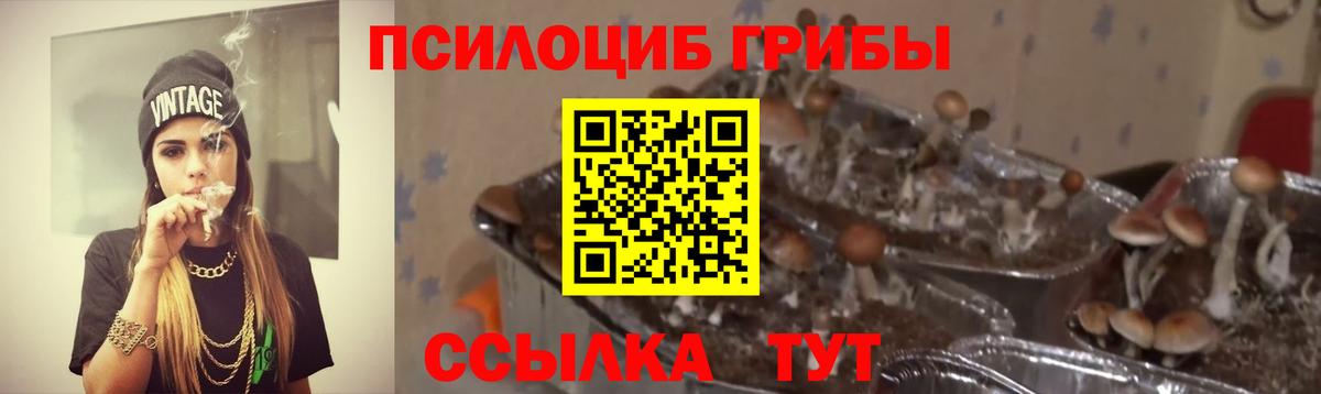Галлюциногенные грибы GOLDEN TEACHER Балашиха
